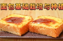 寺寺娱乐吃瓜,揭秘娱乐圈吃瓜背后的真相