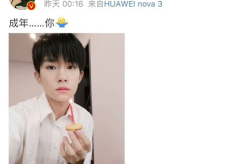 娱乐圈吃瓜评论,揭秘明星背后的故事与真相