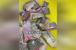 吃瓜娱乐小鲤鱼,揭秘娱乐圈幕后故事