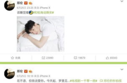 娱乐吃瓜佛系女友百度云,揭秘网络红人的佛系生活态度